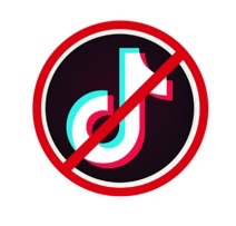 TikTok Banned From Government Phones