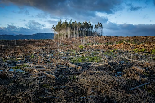 Should the Rich Stand Against Climate Change?