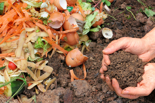 The Benefits of Composting: Turning Waste to Wonder