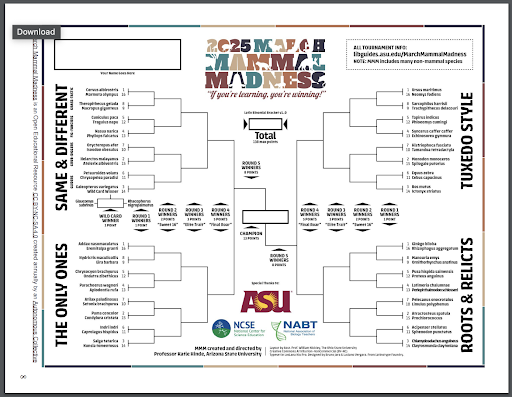 March Mammal Madness: Where Science Meets Competition